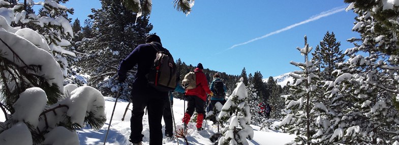 Circuit Occitanie - Jour 4 : La forêt du différend