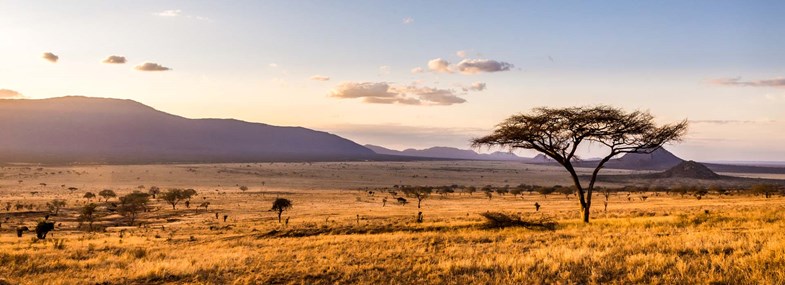 Circuit Kenya - Jour 10 : Arrivée en France