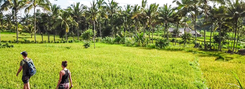 Circuit Indonesie - Jours 10 & 11 : Lombok