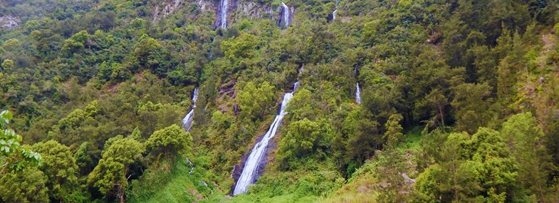 Circuit Ile de la Reunion - Jours 1 & 2 : Vol pour l'île de la Réunion