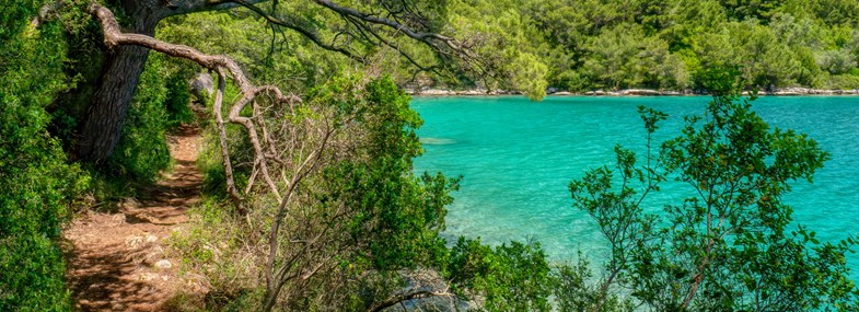 Circuit Croatie - Jour 6 : Lumbarda - Korcula