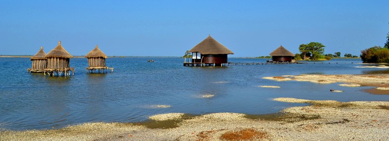 Circuit Sénégal - Jour 3 : Dakar - Lac Rose - Palmarin