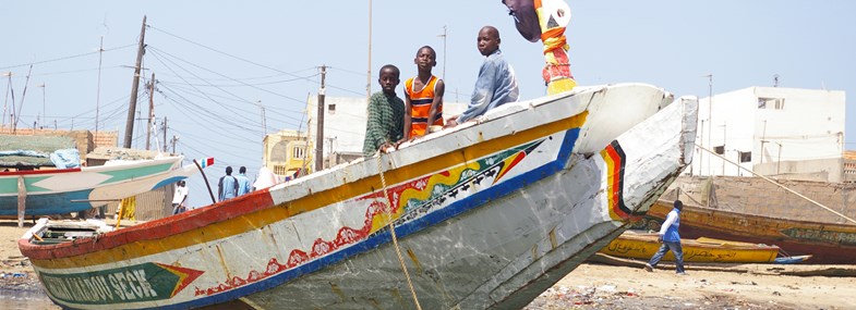 Circuit Sénégal - Jour 7 : Sowene - Djoudj - Saint Louis - Sowene