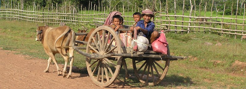 Circuit Cambodge - Jour 5 : Siem Reap - Kampong Phluk - Prey Monti