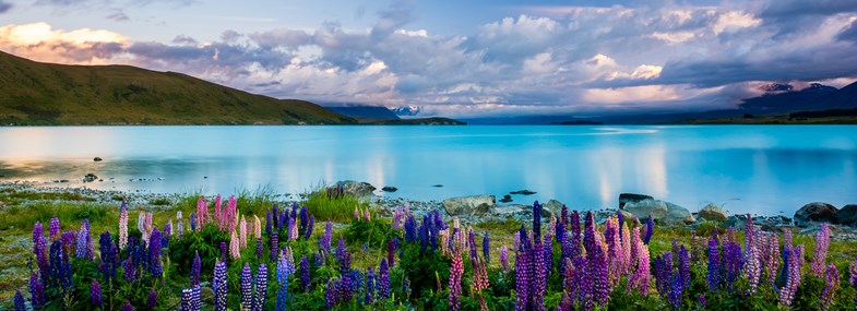 Circuit Nouvelle Zelande - Jour 14 : Queenstown - Lac Pukaki & Tekapo - Canterbury - Christchurch