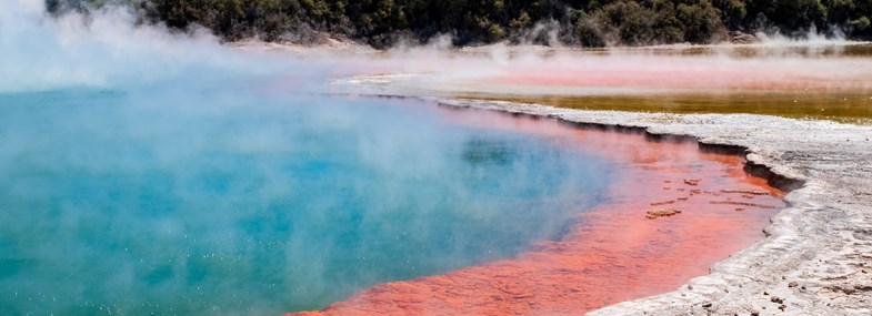 Circuit Nouvelle Zelande - Jour 4 : Auckland - Te Whakarewarewa - Rotorua