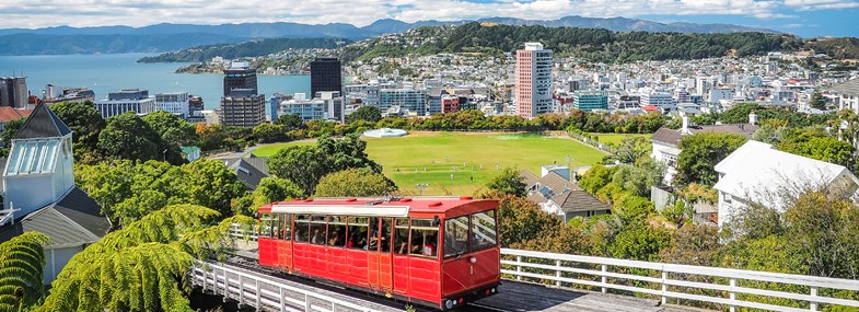 Circuit Nouvelle Zelande - Jour 6 : Tongariro - Wellington