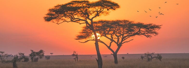 Circuit Tanzanie - Jour 14 : Arrivée en France 