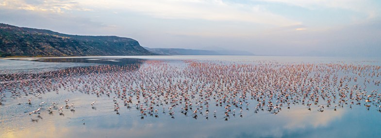 Circuit Tanzanie - Jour 4 : Natron