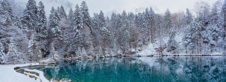 Yoga du froid au lac de Rosière à Courchevel