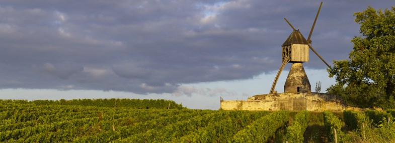 Circuit Pays de la Loire - Jour 2 : Tours - Montlouis - Vouvray - Rochecorbon - Tours