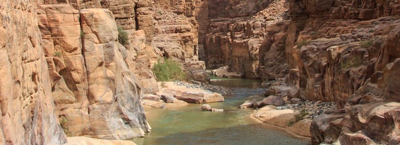 Circuit Jordanie - Jour 3 : Wadi Bin Hammad - Petra