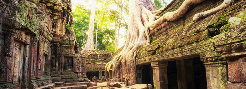 Circuit Vietnam-Cambodge - Jour 13 : Ho Chi Minh Ville - Siem Reap - Temples d'Angkor (Angkor Thom)