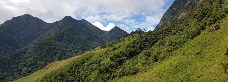 Circuit Sri Lanka - Jour 8 : Haputale ouest - Haputale