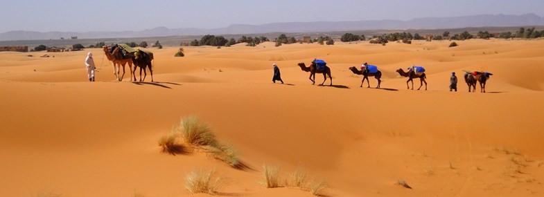 Voyage Maroc - Jour 4 : Dunes de Tidri - Erg Sahal