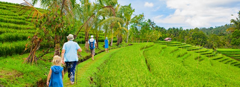 Voyage Indonesie - Les excursions comprises dans votre forfait 