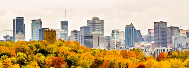 Voyage Canada - Jour 1 : Vol pour Montréal 