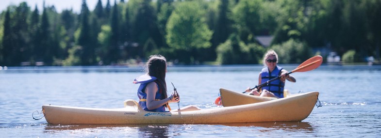 Voyage Canada - Jour 9 : Mauricie - Observation de l'ours