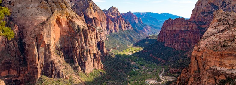 Voyage Etats-Unis - Jour 6 : Zion National Park