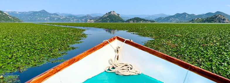 Voyage Montenegro - Jour 3 : Le lac de Skadar