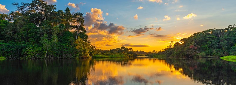 Circuit Costa Rica - Jour 5 : Tortuguero