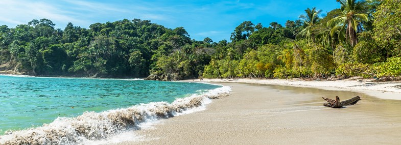 Circuit Costa Rica - Jour 8 : Journée libre à Cahuita