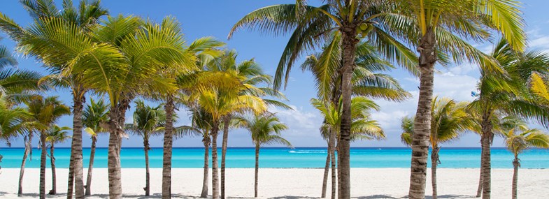 Circuit Mexique - Jour 1 : Vol pour Cancun