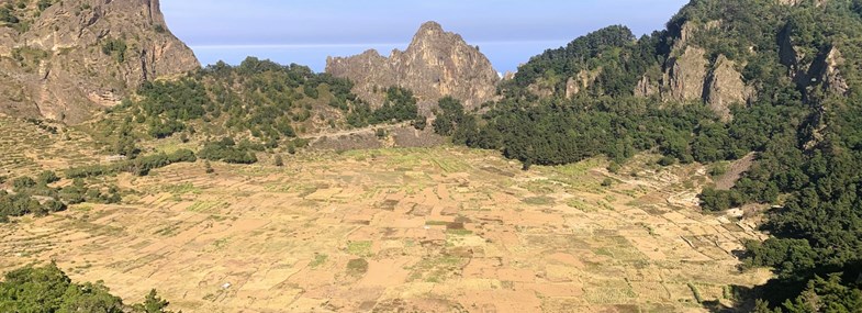 Voyage Cap Vert - Jour 2 : Santo Antao - Forêt de Cova - Coculi