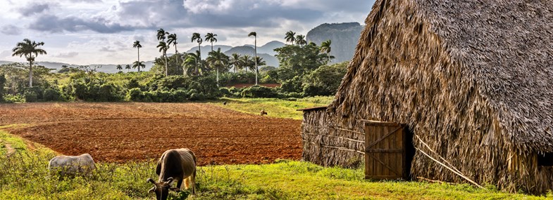 Circuit Cuba - Jour 2 : La Havane - Viñales