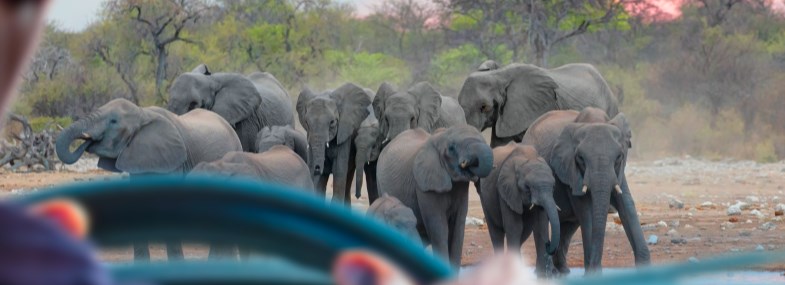 Circuit Namibie - Botswana - Zambie - Jours 1&2 : Vol pour Windhoek