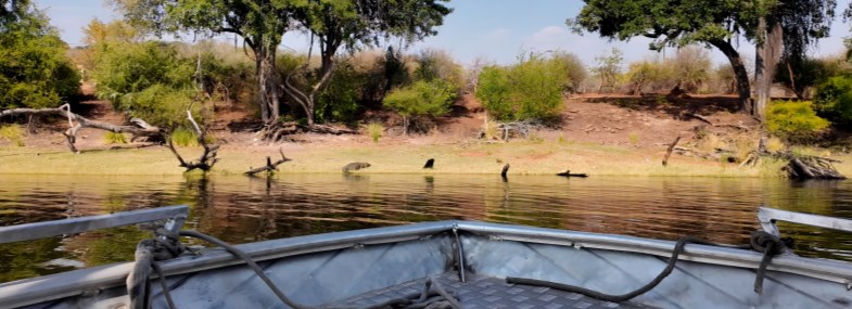 Circuit Namibie - Botswana - Zambie - Jour 12 : Le Parc National de Chobe - Kasane - Livingstone