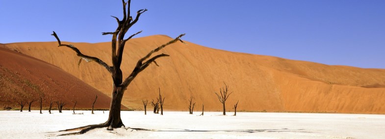 Circuit Namibie - Botswana - Zambie - Jour 4 : Désert du Namib - Sesriem - Sossusvlei
