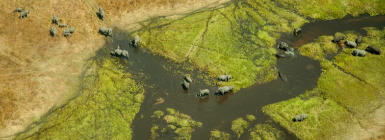 Circuit Namibie - Botswana - Zambie - Jour 10 : La bande de Caprivi - Le Parc de Mahango - Divundu