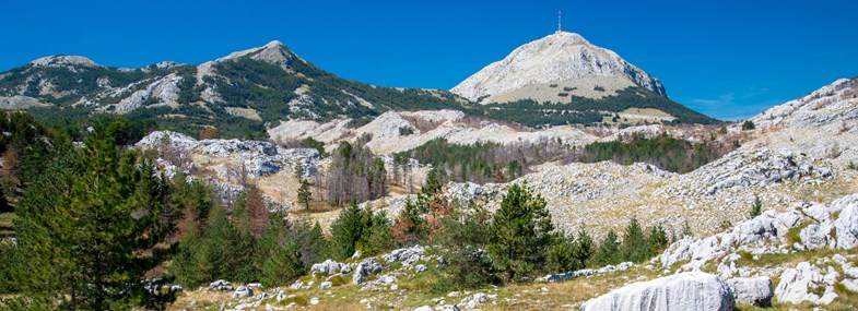 Circuit Montenegro - Croatie - Jour 3 : Parc National de Lovcen - Parc d'aventure Ivanova Korita - Virpazar