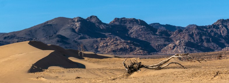 Circuit Mongolie - Jour 3 : Oulan Bator - Le parc national de Khögnö Khan