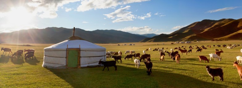 Circuit Mongolie - Jour 4 : Le parc national de Khögnö Khan - La vallée de l'Orkhon