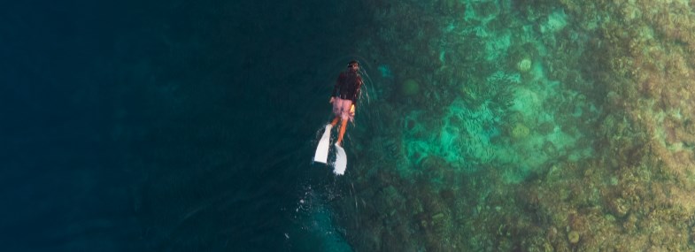 Circuit Philippines - Jour 5 : L'île Negros - Dumaguete
