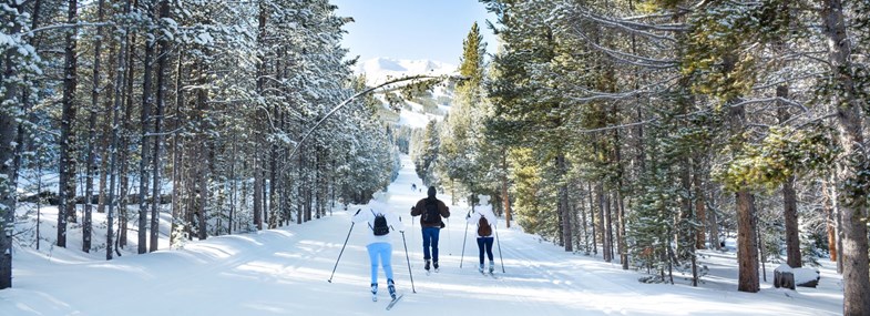 Voyage Alsace - Les clubs enfants 
