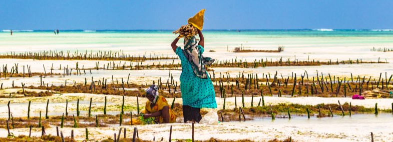 Circuit Zanzibar - Jour 6 : La découverte de projets communautaires marins