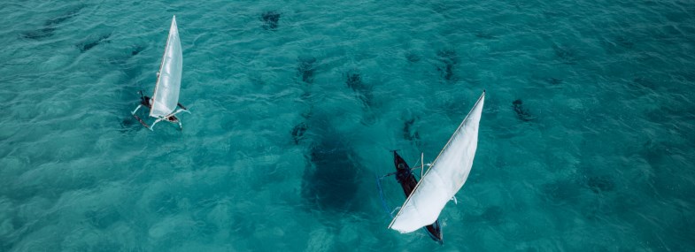 Circuit Mozambique - Afrique du Sud - Jour 11 : Tofo - Excursion en Dhow traditionnel