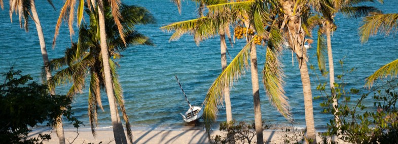 Circuit Mozambique - Afrique du Sud - Jour 13 : Vilanculos