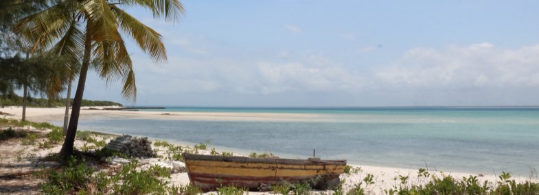 Circuit Mozambique - Afrique du Sud - Jour 15 : Vol retour