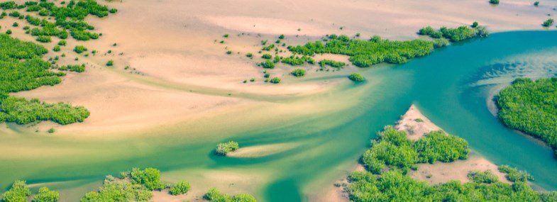 Circuit Sénégal - Jour 1 : Vol pour Dakar