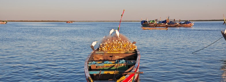 Circuit Sénégal - Jour 3 : Ziguinchor - Djilapao - Affiniam - Ziguinchor