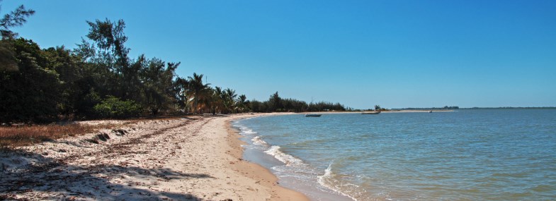 Circuit Sénégal - Jour 7 : Ile Ehidji