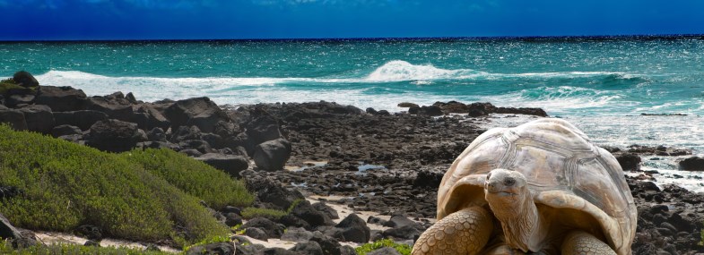 Circuit Equateur - EXTENSION POSSIBLE AUX ILES GALAPAGOS