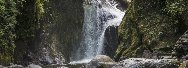 Circuit Equateur - Jour 3 : Quito - Mindo