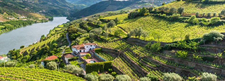 Circuit Portugal - Jour 5 : Croisière sur le Douro