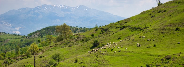 Circuit Albanie - Jour 3 : Gllava