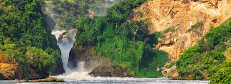 Circuit Ouganda - Jour 5 : Le parc national des chutes Murchison